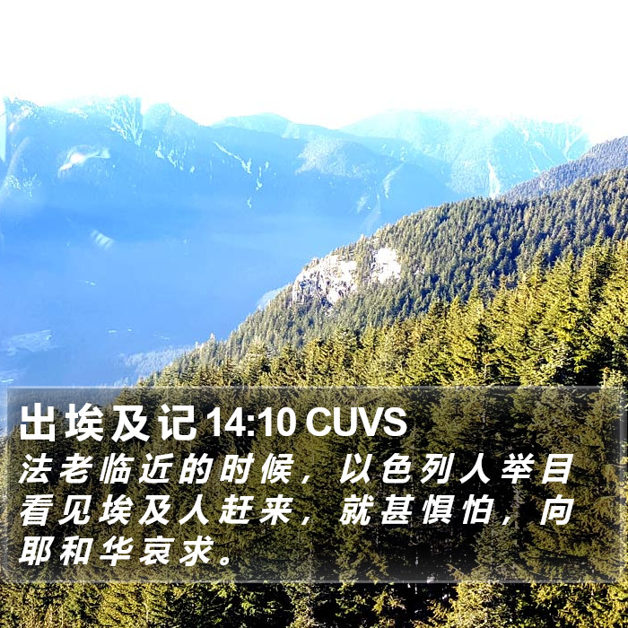 出 埃 及 记 14:10 CUVS Bible Study