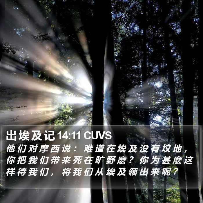 出 埃 及 记 14:11 CUVS Bible Study