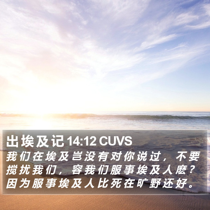 出 埃 及 记 14:12 CUVS Bible Study