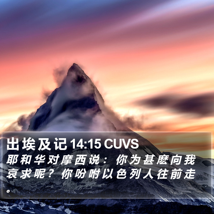 出 埃 及 记 14:15 CUVS Bible Study