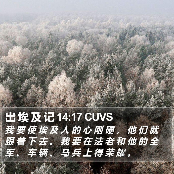 出 埃 及 记 14:17 CUVS Bible Study