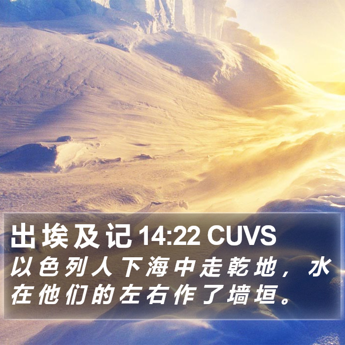 出 埃 及 记 14:22 CUVS Bible Study