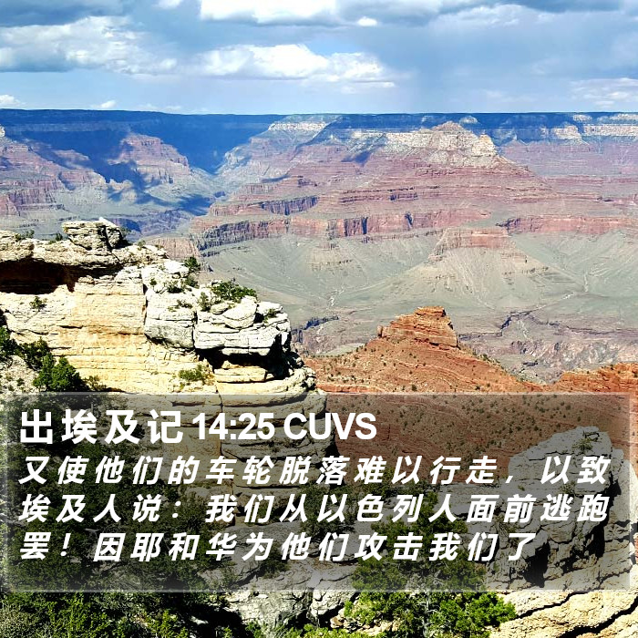 出 埃 及 记 14:25 CUVS Bible Study