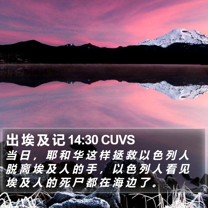 出 埃 及 记 14:30 CUVS Bible Study