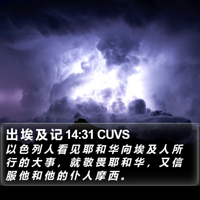 出 埃 及 记 14:31 CUVS Bible Study