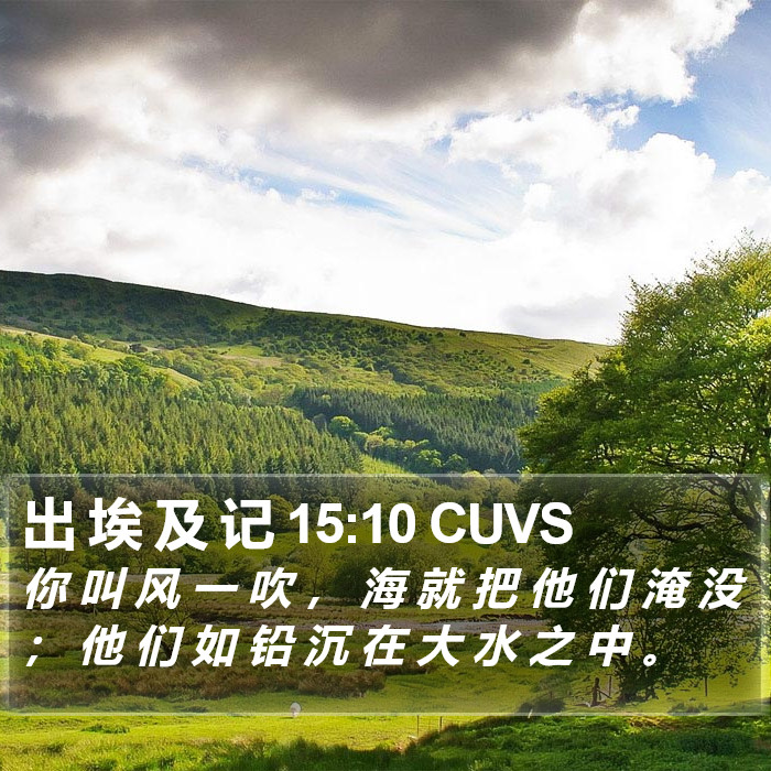 出 埃 及 记 15:10 CUVS Bible Study