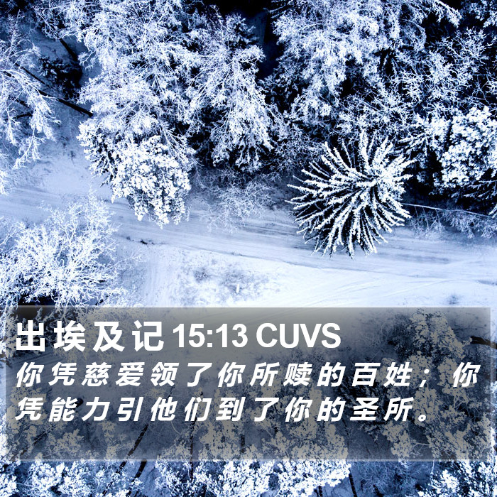 出 埃 及 记 15:13 CUVS Bible Study