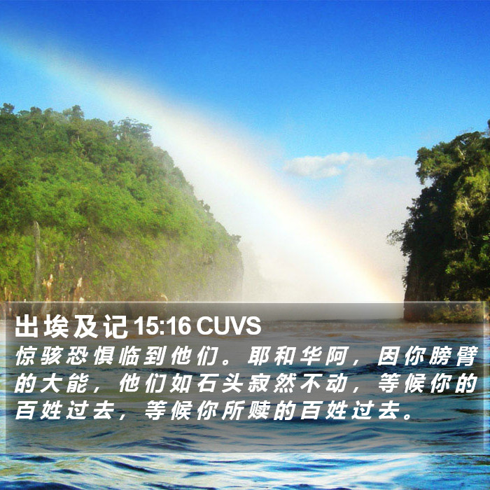 出 埃 及 记 15:16 CUVS Bible Study