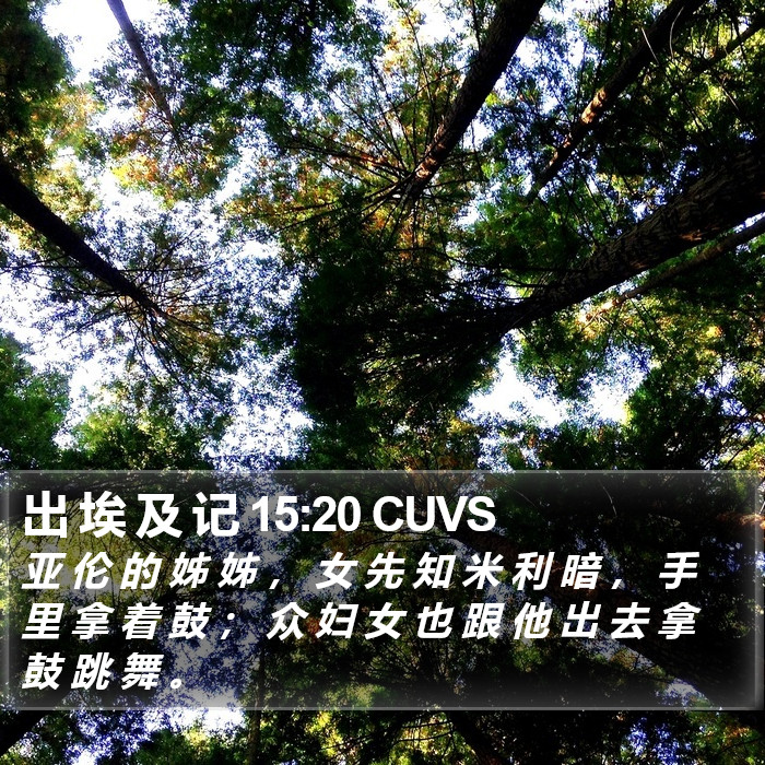 出 埃 及 记 15:20 CUVS Bible Study