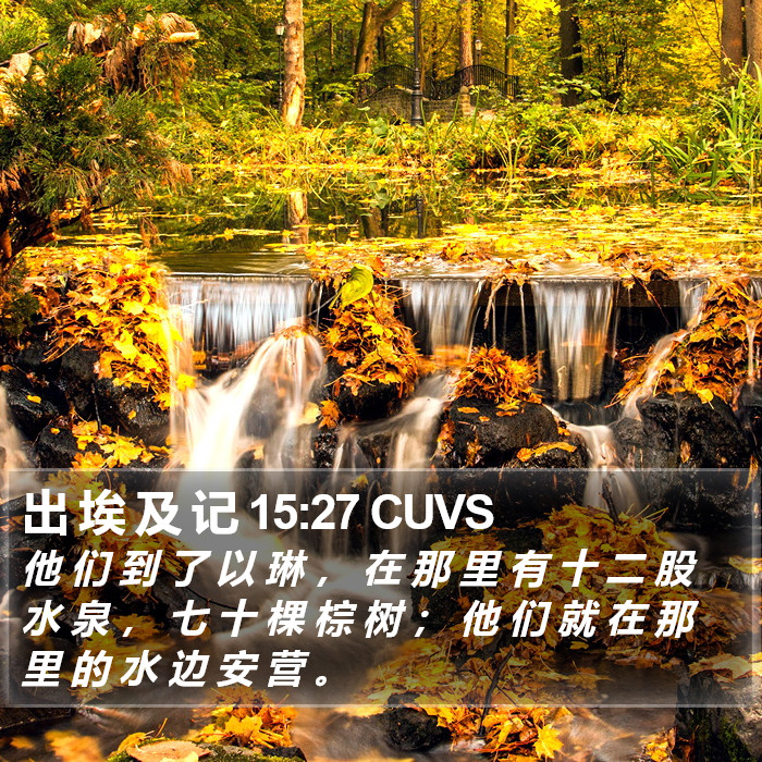 出 埃 及 记 15:27 CUVS Bible Study