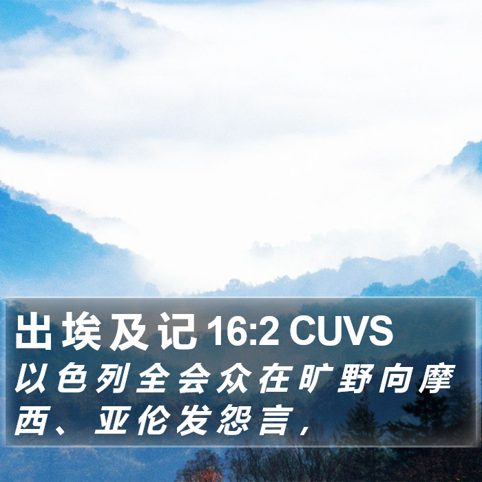 出 埃 及 记 16:2 CUVS Bible Study