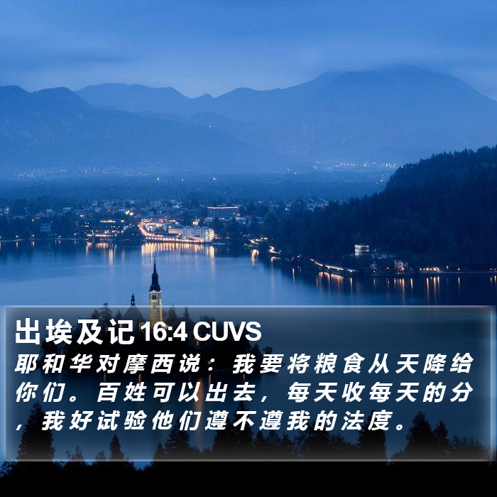 出 埃 及 记 16:4 CUVS Bible Study