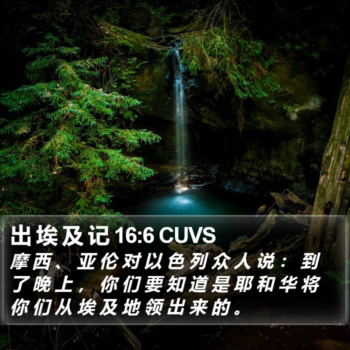出 埃 及 记 16:6 CUVS Bible Study