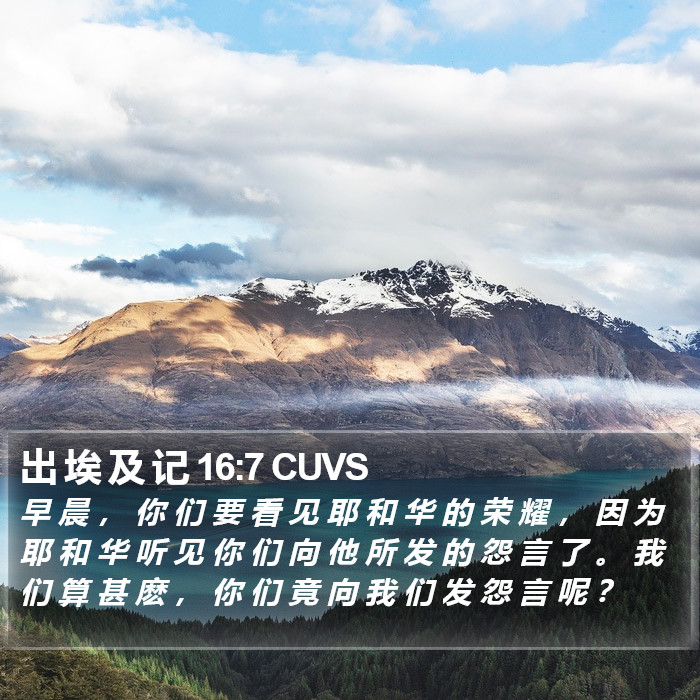 出 埃 及 记 16:7 CUVS Bible Study