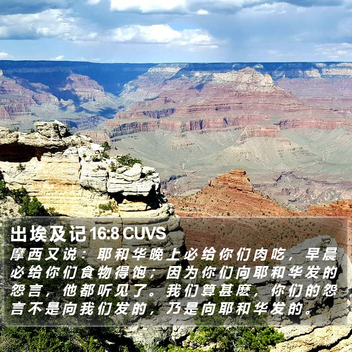出 埃 及 记 16:8 CUVS Bible Study