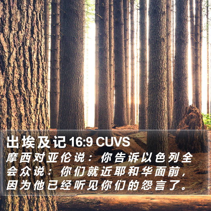 出 埃 及 记 16:9 CUVS Bible Study
