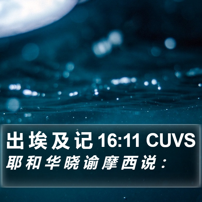 出 埃 及 记 16:11 CUVS Bible Study