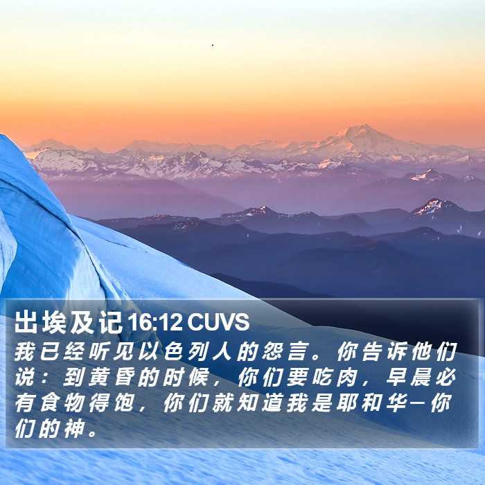 出 埃 及 记 16:12 CUVS Bible Study