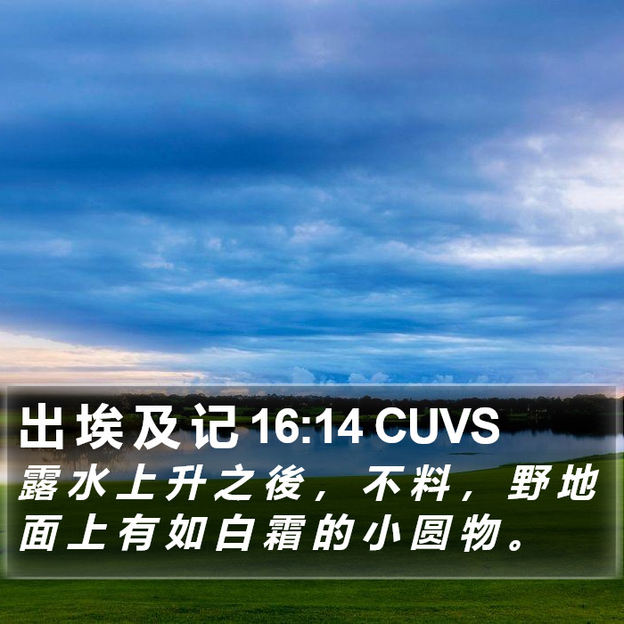 出 埃 及 记 16:14 CUVS Bible Study
