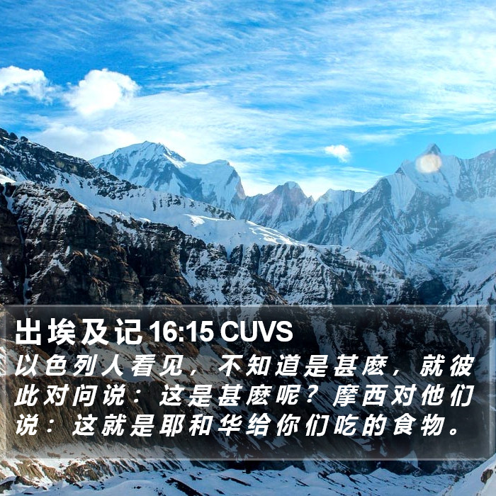 出 埃 及 记 16:15 CUVS Bible Study