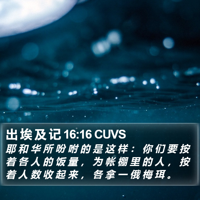出 埃 及 记 16:16 CUVS Bible Study