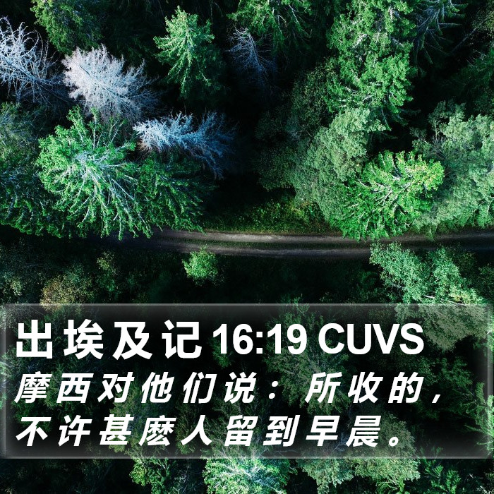 出 埃 及 记 16:19 CUVS Bible Study