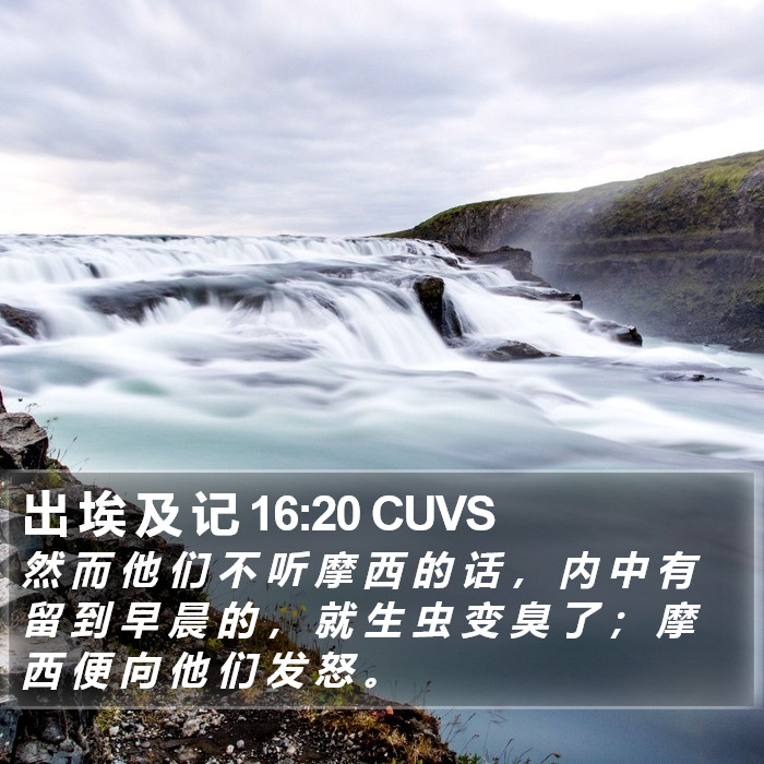 出 埃 及 记 16:20 CUVS Bible Study
