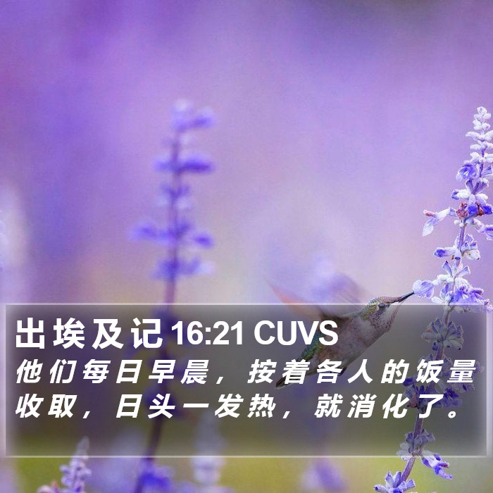出 埃 及 记 16:21 CUVS Bible Study