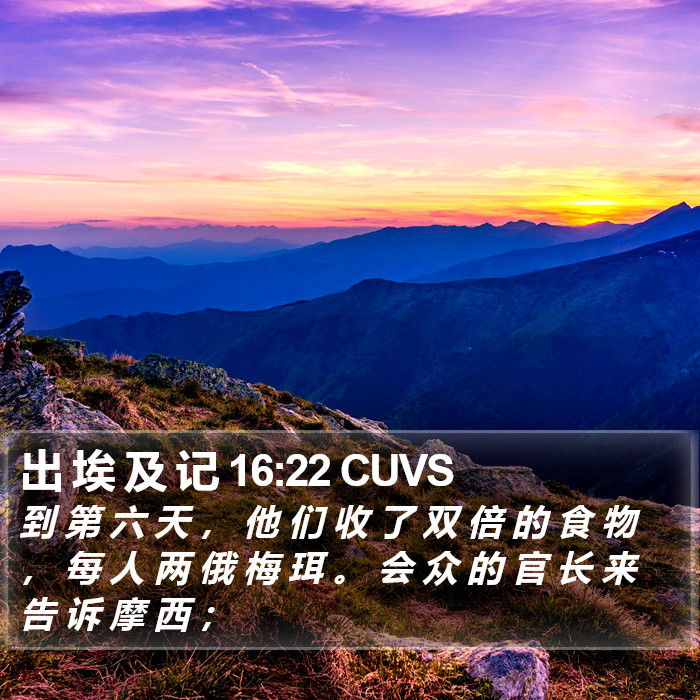出 埃 及 记 16:22 CUVS Bible Study