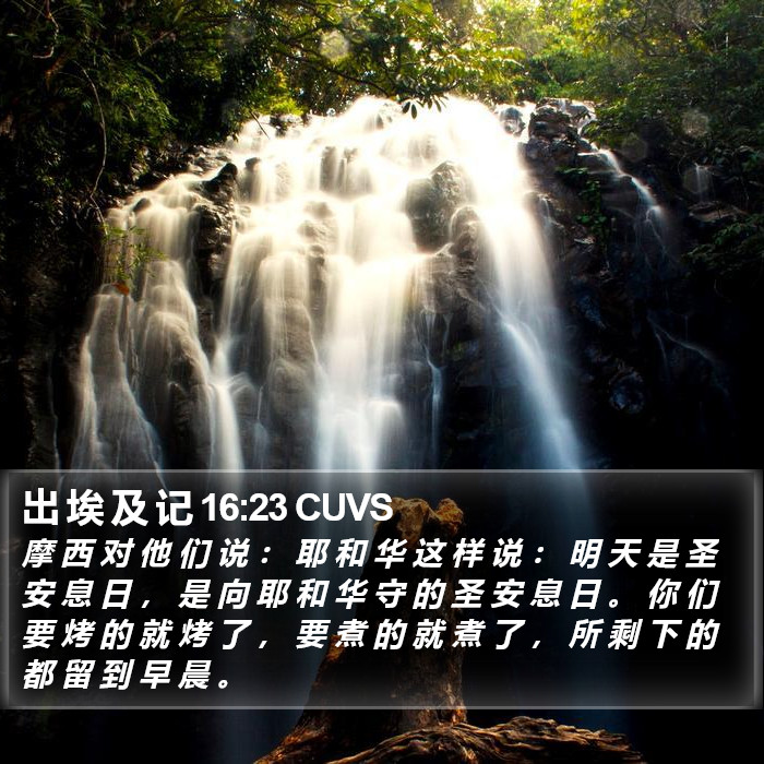 出 埃 及 记 16:23 CUVS Bible Study