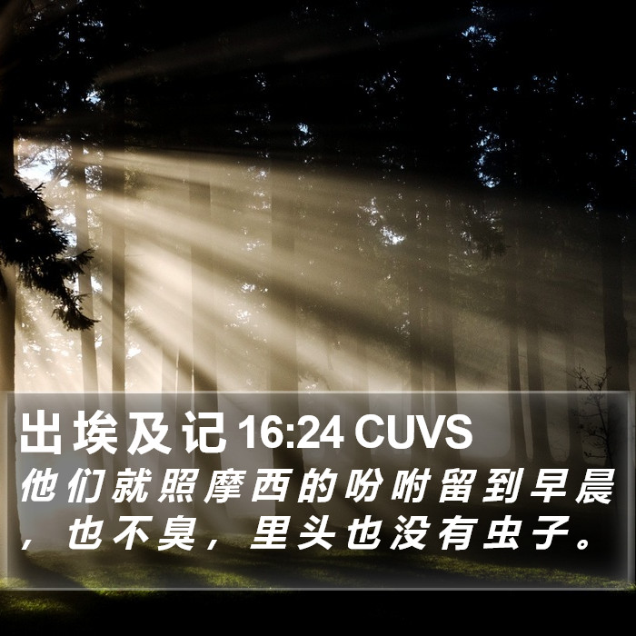 出 埃 及 记 16:24 CUVS Bible Study