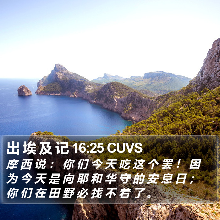 出 埃 及 记 16:25 CUVS Bible Study