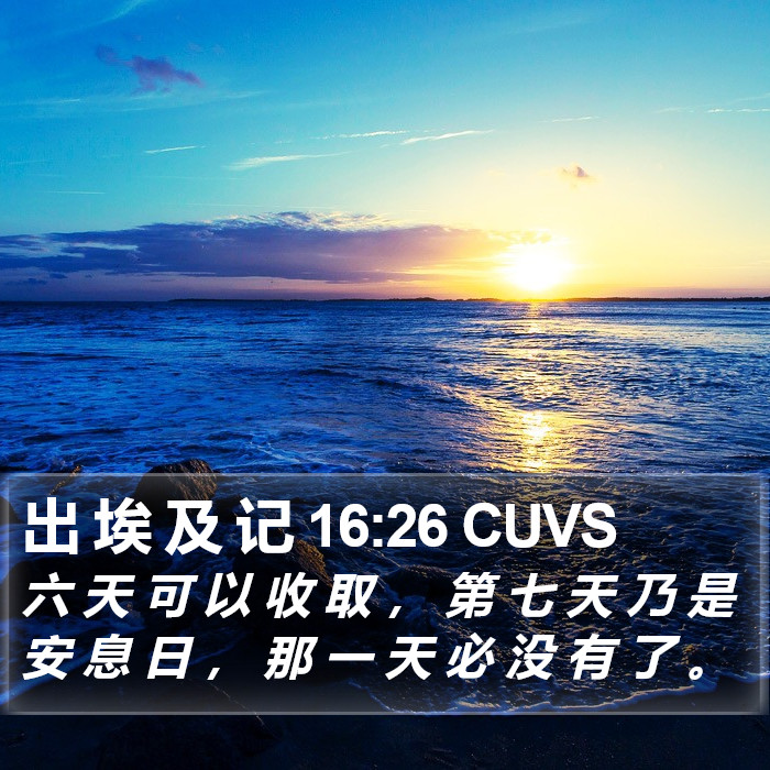 出 埃 及 记 16:26 CUVS Bible Study