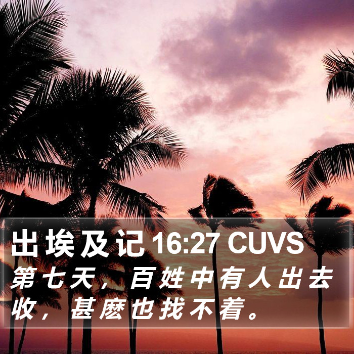 出 埃 及 记 16:27 CUVS Bible Study