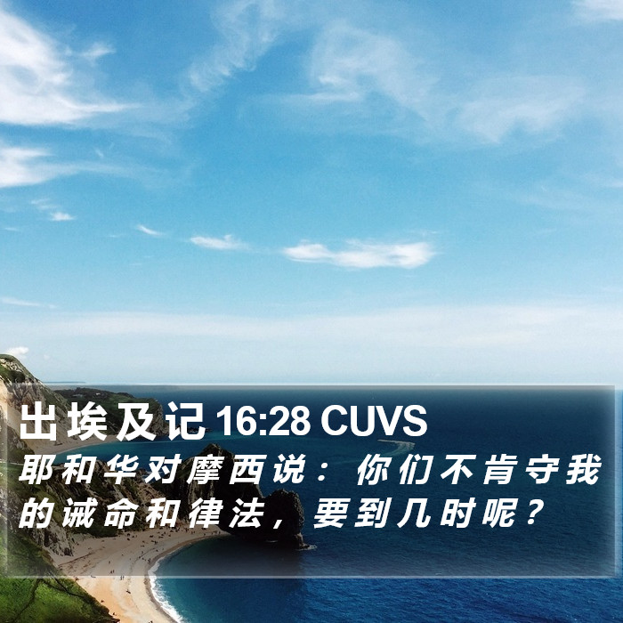 出 埃 及 记 16:28 CUVS Bible Study