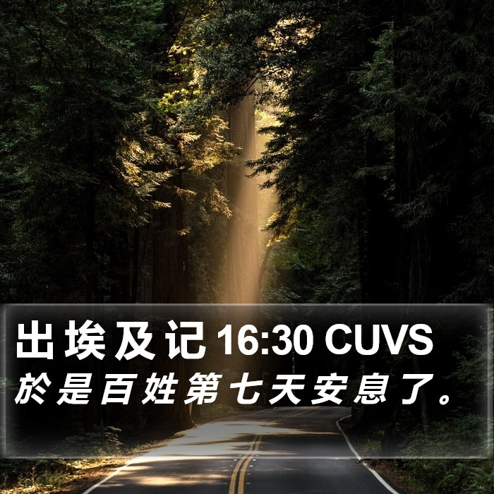 出 埃 及 记 16:30 CUVS Bible Study