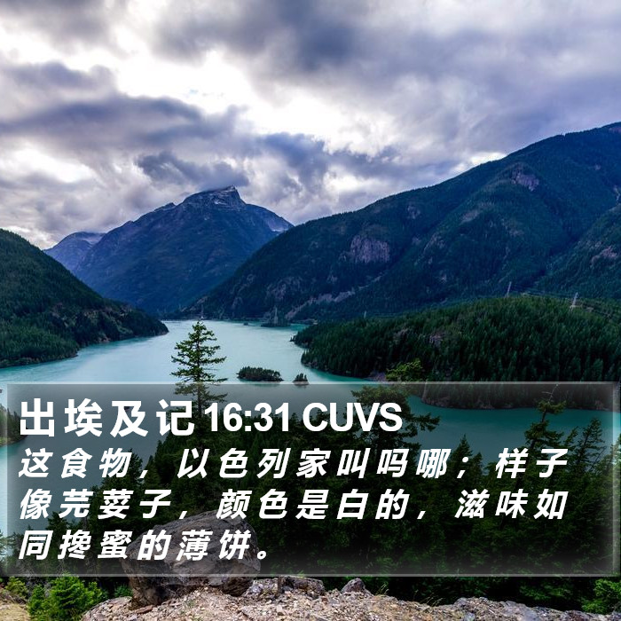 出 埃 及 记 16:31 CUVS Bible Study