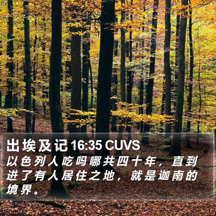 出 埃 及 记 16:35 CUVS Bible Study
