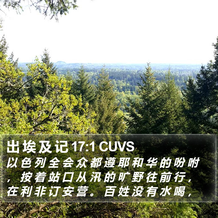 出 埃 及 记 17:1 CUVS Bible Study
