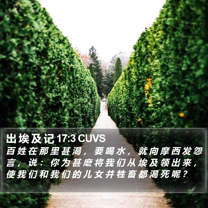 出 埃 及 记 17:3 CUVS Bible Study