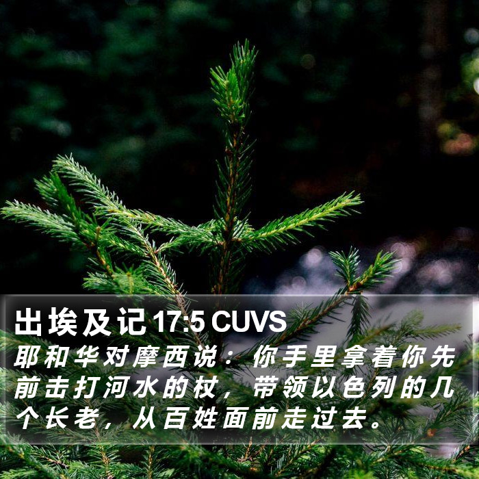 出 埃 及 记 17:5 CUVS Bible Study