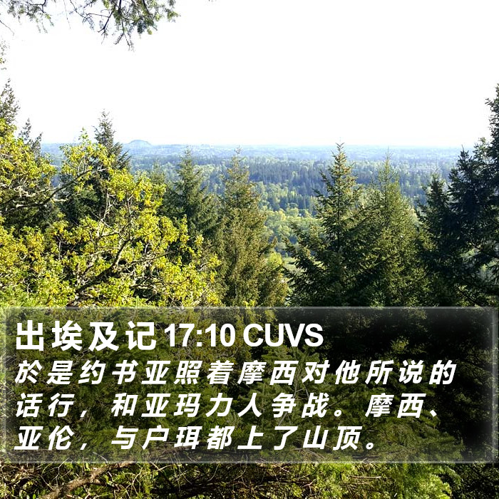 出 埃 及 记 17:10 CUVS Bible Study