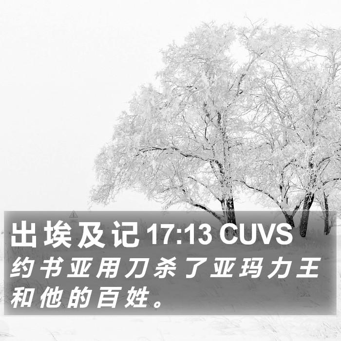 出 埃 及 记 17:13 CUVS Bible Study
