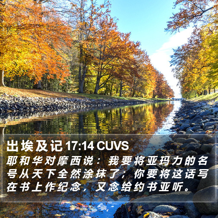 出 埃 及 记 17:14 CUVS Bible Study