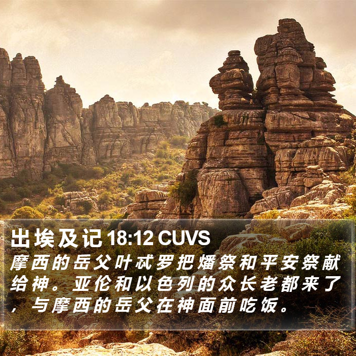 出 埃 及 记 18:12 CUVS Bible Study