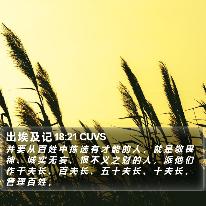 出 埃 及 记 18:21 CUVS Bible Study