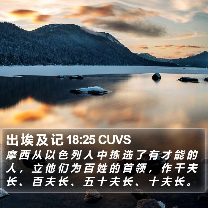 出 埃 及 记 18:25 CUVS Bible Study