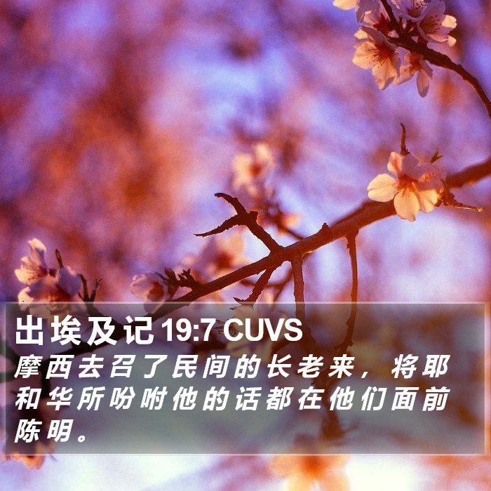 出 埃 及 记 19:7 CUVS Bible Study