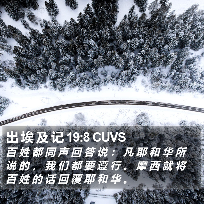 出 埃 及 记 19:8 CUVS Bible Study