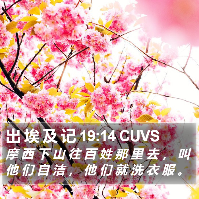 出 埃 及 记 19:14 CUVS Bible Study